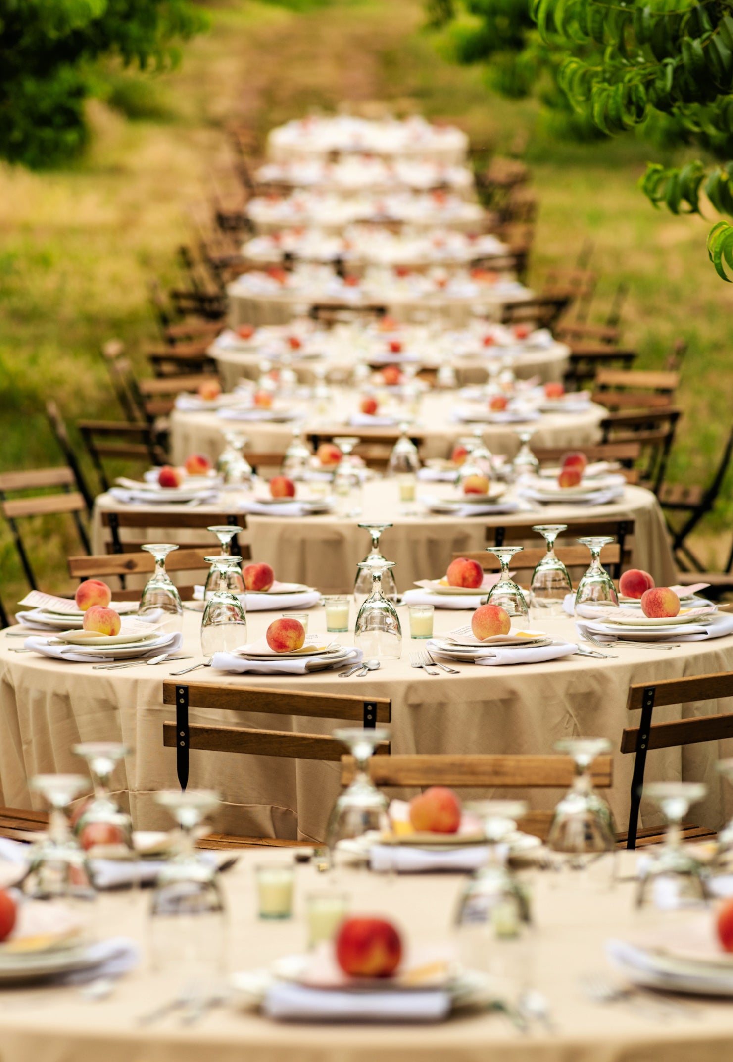 Shef Madres catered event at Twin Peaks Orchard showing row of tables.